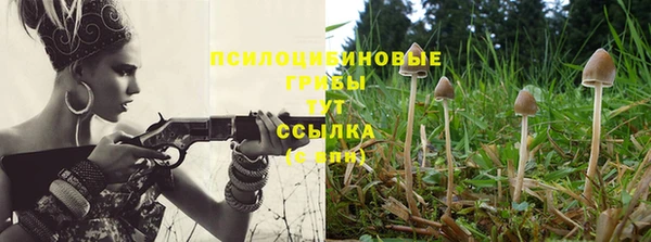 PSILOCYBIN Арсеньев
