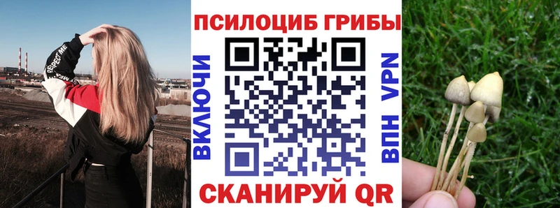 KRAKEN ссылки  Радужный  Псилоцибиновые грибы прущие грибы  закладка 