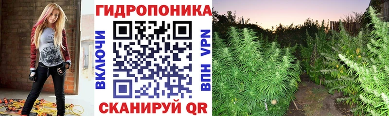 магазин  наркотиков  Радужный  Шишки марихуана план 